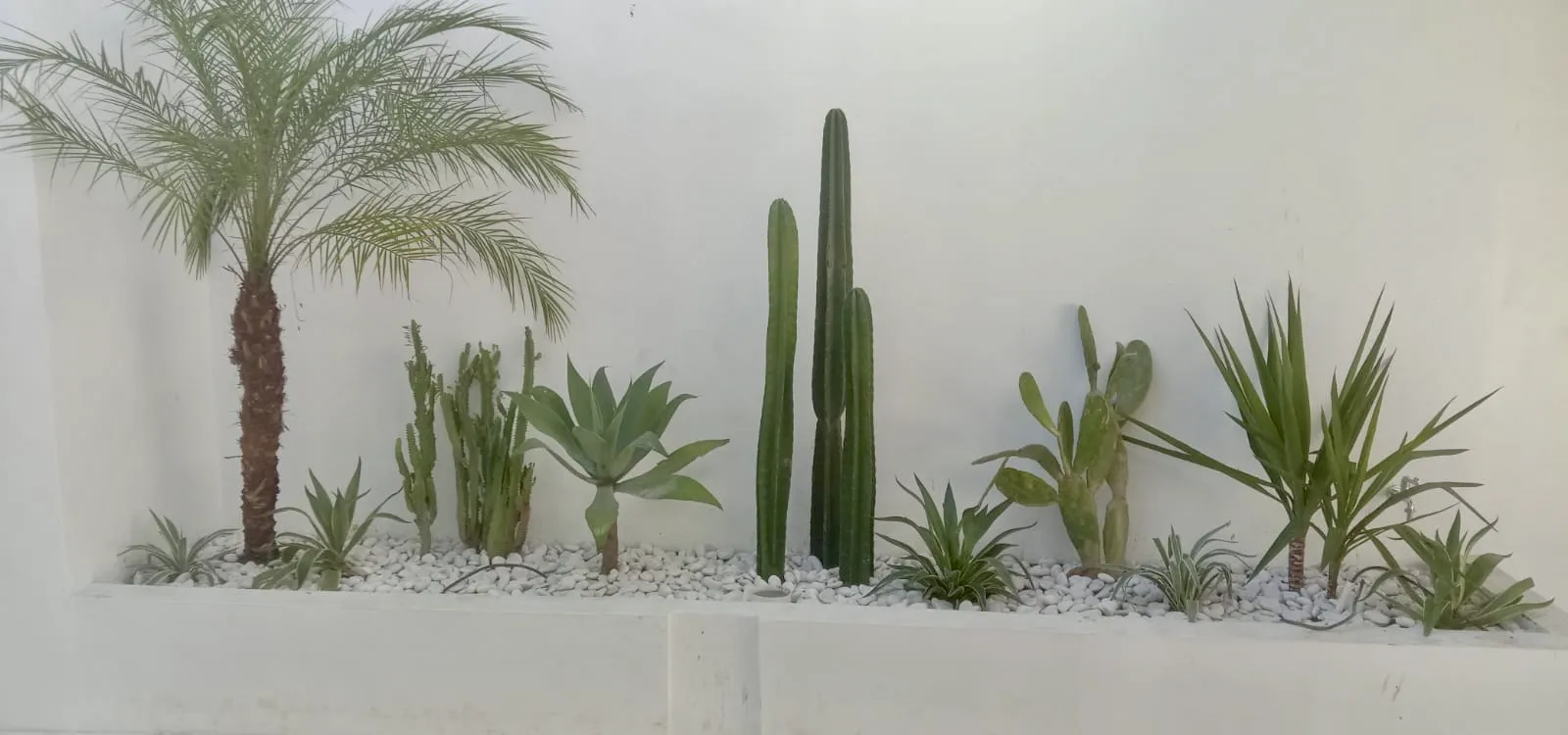 Landscape Design by Sari Rejeki